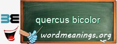 WordMeaning blackboard for quercus bicolor